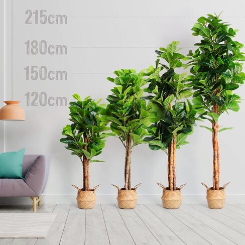 شجرة التين المصنوعة من أوراق الكمان الصناعية من هوملوكس ثيوري، نباتات صناعية بطول 6 أقدام ونباتات منزلية داخلية، نباتات أرضية شجرة التين الاصطناعية الصغيرة لديكور غرفة المعيشة ونباتات المكتب (3 سيقان، 154 ورقة كمان مزيفة كبيرة) in Kuwait