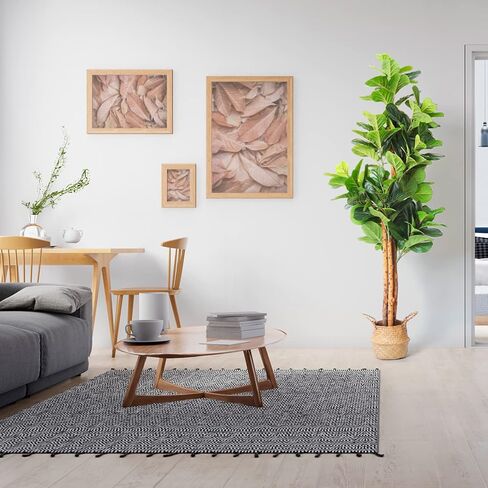 شجرة التين المصنوعة من أوراق الكمان الصناعية من هوملوكس ثيوري، نباتات صناعية بطول 6 أقدام ونباتات منزلية داخلية، نباتات أرضية شجرة التين الاصطناعية الصغيرة لديكور غرفة المعيشة ونباتات المكتب (3 سيقان، 154 ورقة كمان مزيفة كبيرة) in Kuwait