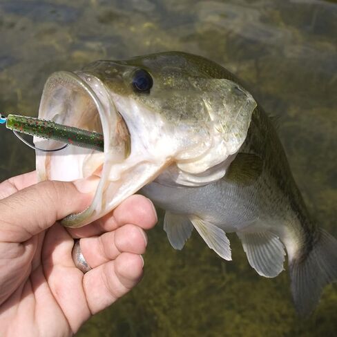 Zsrivk 40pcs Soft Fishing Lures 2.55in Finesse Ned Worms Lures, 5 Mixed Colors Soft Plastic Worm Lures Kit Saltwater Freshwater Bait for Bass Trout Crappie Walleye in Kuwait