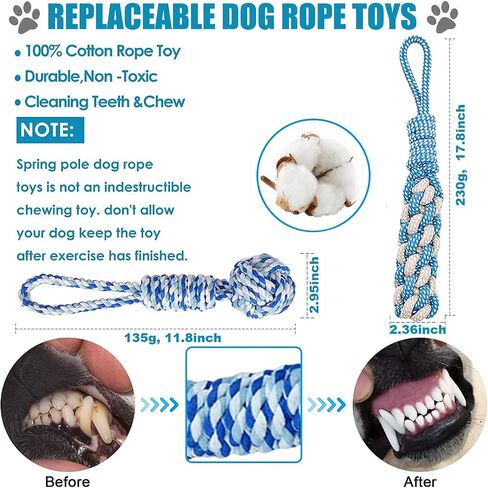 TUAHOO Spring Pole Bungee Dog Tug Toy - Dog Rope Pull & Tether Tug of War Toy for Small to Large Dogs to Exercise and Play Retractable Tugger Dog Rope Toys with 2 Chew Toys in Kuwait