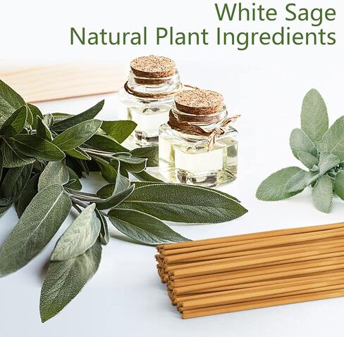 بخور برائحة المريمية البيضاء - 100 قطعة - بخور معطر مع خشب - حامل عصا للمنزل والمعابد والفناء in Kuwait