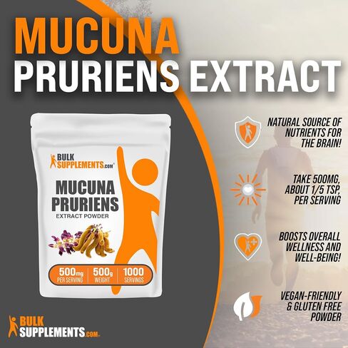 BULKSUPPLEMENTS.COM مستخلص Mucuna Pruriens - المكملات العشبية، مكملات Mucuna Pruriens، مسحوق Mucuna Pruriens - نباتي وخالي من الغلوتين، 500 مجم لكل وجبة، 500 جم (1.1 رطل) in Kuwait