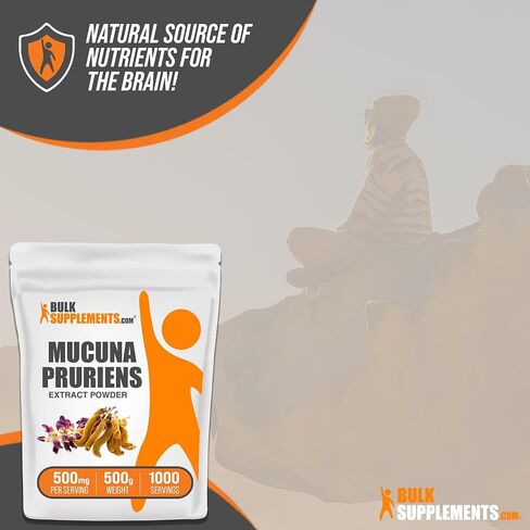 BULKSUPPLEMENTS.COM مستخلص Mucuna Pruriens - المكملات العشبية، مكملات Mucuna Pruriens، مسحوق Mucuna Pruriens - نباتي وخالي من الغلوتين، 500 مجم لكل وجبة، 500 جم (1.1 رطل) in Kuwait