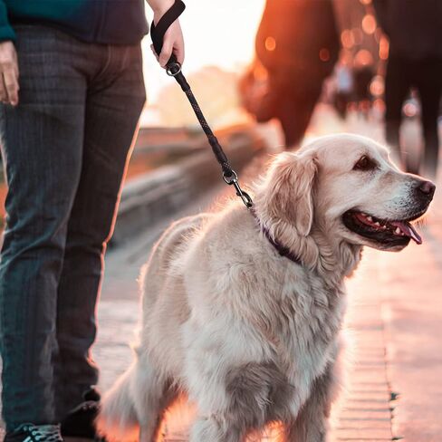 VIVAGLORY Short Dog Leash 18 in, Durable Mountain Climbing Reflective Rope Dog Lead with Soft Padded Traffic Handle for Large Dogs for Walking & Training, Black in Kuwait