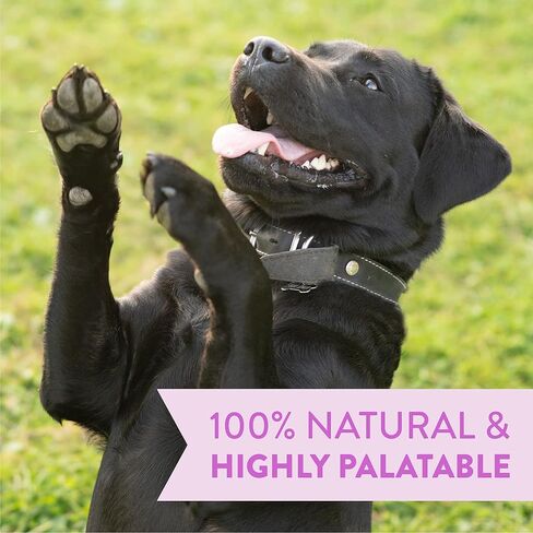 Cloud Star Tricky Trainers تجميد مكافآت تدريب الكلاب المجففة، كيس 6 أونصة، نكهة كبد البقر، مساعد سلوك منخفض السعرات الحرارية مع 310 حلوى in Kuwait