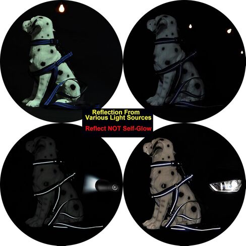 Mile High Life | Reflective Dog Collar Leash Set | Small Dog Collar Leash Set | Medium Dog Collar Leash Set | Adjustable Collar Leash Set (Reflective Solid Limegreen, Medium (Pack of 2)) in Kuwait