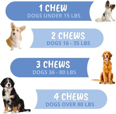 Under The Weather Pet Disc & Spine Health Chews for Dog | Vet Formulated Dog Chews Spinal Disc Support Supplement | Great for Dachshunds & Long Back Breeds with IVDD, Back & Joint Arthritis in Kuwait