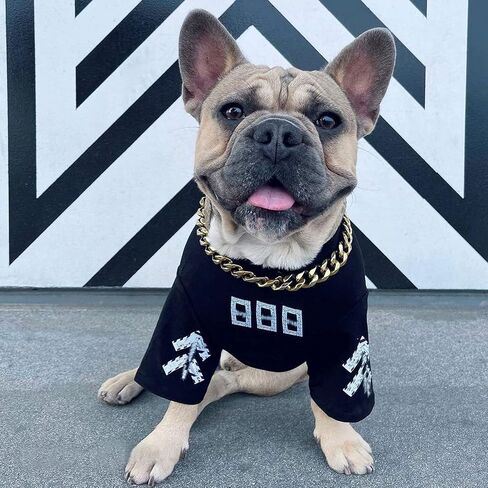 New Gold Dog Chain Collar with Bling Zircon Buckle,19MM Strong Stainless Steel Cuban Link Chain Collar,Dog Necklace Collar for Small Medium,Large Dogs in Kuwait