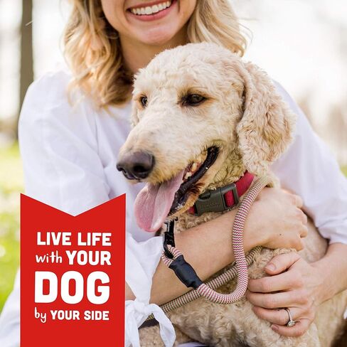 Cloud Star Wag More Bark Less Chicken والبطاطا الحلوة وصفة خالية من الحبوب للكلاب المتشنجة 10 أونصة، الموديل: 693804191113 in Kuwait