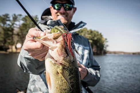 مجموعة صيد السمك من كاتش كو بيو سباون بيزلز باس | راتلبوت | ExoPod | ExoRibbon | VileCraw | PlasmaTail in Kuwait