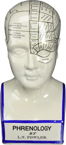 Design Toscano Phrenology the Science of the Brain Victorian Replica Statue in Saudi Arabia