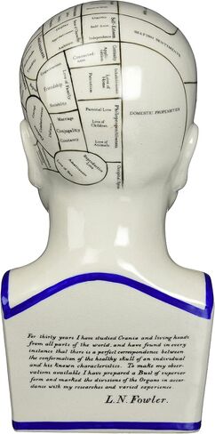 Design Toscano Phrenology the Science of the Brain Victorian Replica Statue in Saudi Arabia