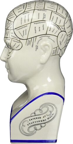 Design Toscano Phrenology the Science of the Brain Victorian Replica Statue in Saudi Arabia