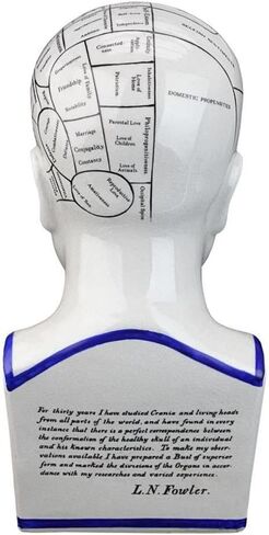Design Toscano Phrenology the Science of the Brain Victorian Replica Statue in Saudi Arabia