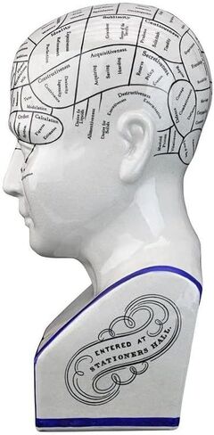 Design Toscano Phrenology the Science of the Brain Victorian Replica Statue in Saudi Arabia