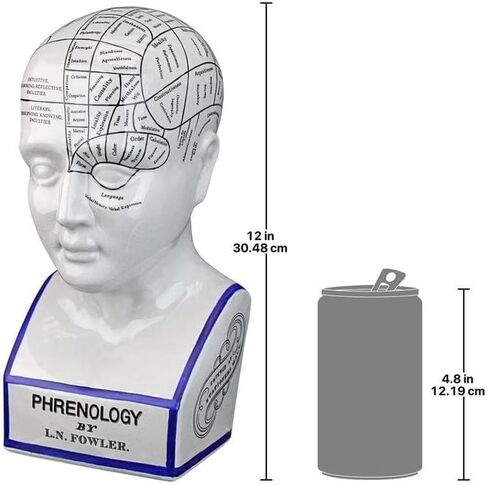 Design Toscano Phrenology the Science of the Brain Victorian Replica Statue in Saudi Arabia