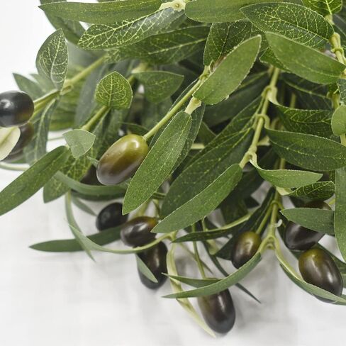 Musdoney 5 حزمة غصن الزيتون الاصطناعي يترك فروع نبات الأوكالبتوس وهمية لترتيب الزهور زهرية باقات الزفاف المنزل مكتب ديكور الخضرة in Kuwait