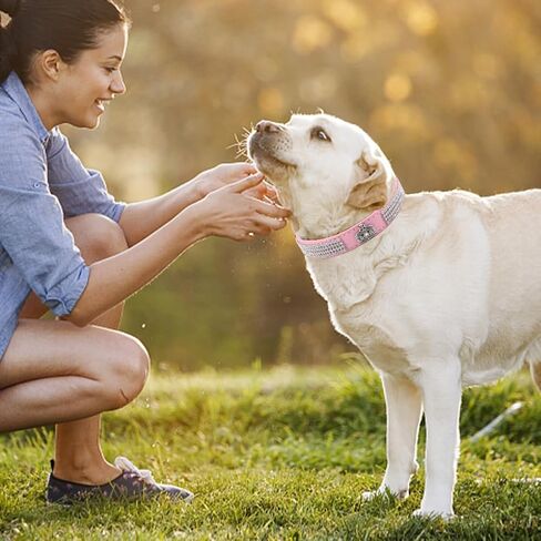 Fawcotu طوق الكلب عاكس النايلون الياقات الكلب الياقات حجر الراين الكلبة للفتيات والفتيان الكلب قابل للتعديل جلد الغزال طوق SOFE مع المقود (M الوردي) in Kuwait