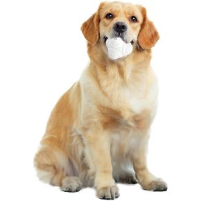 ALL FOR PAWS Erratic Ball Dog Fetch Toy Vibrant Life Dog Toys Stimulating Random Bounce Indestructible Dog Toy Meta Ball (Super Jumper) for Medium to Large Dogs in Saudi Arabia