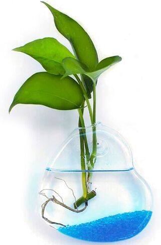 2 PCS Clear Glass Wall Vase with Traceless Nail, Heart Shape Wall Flower Vase Wall Hanging Vase Bottle for Plant Flower Decor Arrangement for Bedroom Kitchen Living Room Office, 5.3" x 2" x 5.3" in Saudi Arabia