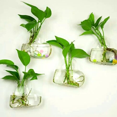 2 PCS Clear Glass Wall Vase with Traceless Nail, Heart Shape Wall Flower Vase Wall Hanging Vase Bottle for Plant Flower Decor Arrangement for Bedroom Kitchen Living Room Office, 5.3" x 2" x 5.3" in Saudi Arabia