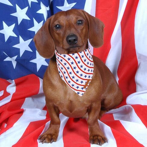 ADOGGYGO عصابات الكلاب في الرابع من يوليو، مقاسات متعددة معروضة، وشاح للكلاب بعلم أمريكي قابل للتعديل، عصابات وطنية للكلاب الكبيرة والكبيرة جدًا من الحيوانات الأليفة (X-Large، أبيض) in Kuwait