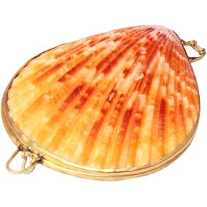 Sewroro Shell Jewelry Box Seashell Trinket Box Natural Small Seashell Figurine Collectible Ring Jewelry Holder for Home Decor (color 1) Shell Collectible Figurine