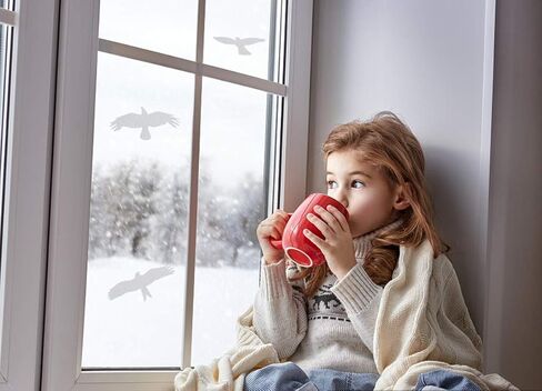 ملصقات نافذة الطيور المضادة للتصادمات لحماية الباب الزجاجي وحفظ الطيور (أسود، 9 قطع) in Kuwait