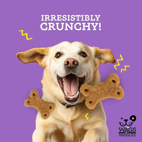 مكافآت وظيفية لطيفة للبطن من Wags & Wiggles للكلاب، بنكهة الدجاج، 5.5 كيس قابل للإغلاق| دعم الجهاز الهضمي | علاجات اليقطين للكلاب ذات البطون الحساسة in Kuwait