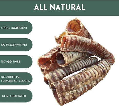 K9 Connoisseur Beef Trachea Dog يمضغ علاج الكلب المكون الواحد، القصبة الهوائية البقري للكلاب المصنوعة في الولايات المتحدة الأمريكية، يعامل الكلب مكون واحد وجميع مضغ الكلاب الطبيعية، يعامل الجلوكوزامين الكوندرويتين للكلاب (7 × 7 بوصة) in Saudi Arabia