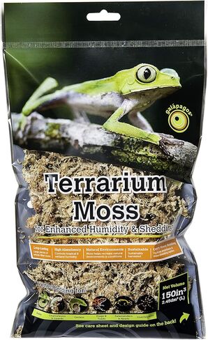 جالاباجوس (05201 تيراريوم طحالب طحالب، أشقر، حقيبة رأس 150 في 3 in Kuwait