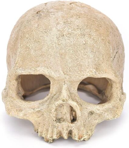 Toukerobx Aquarium Terrarium Skull Decor, Reptile Hide House Shelter Cave for Gecko Spider Lizard Snake, Fish Tank Fish Hide Skull Cave House Stones for Small Fish Shrimp Betta koi Crab… in Kuwait