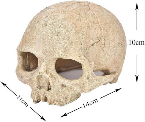 Toukerobx Aquarium Terrarium Skull Decor, Reptile Hide House Shelter Cave for Gecko Spider Lizard Snake, Fish Tank Fish Hide Skull Cave House Stones for Small Fish Shrimp Betta koi Crab… in Kuwait