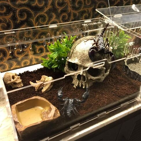 Toukerobx Aquarium Terrarium Skull Decor, Reptile Hide House Shelter Cave for Gecko Spider Lizard Snake, Fish Tank Fish Hide Skull Cave House Stones for Small Fish Shrimp Betta koi Crab… in Kuwait