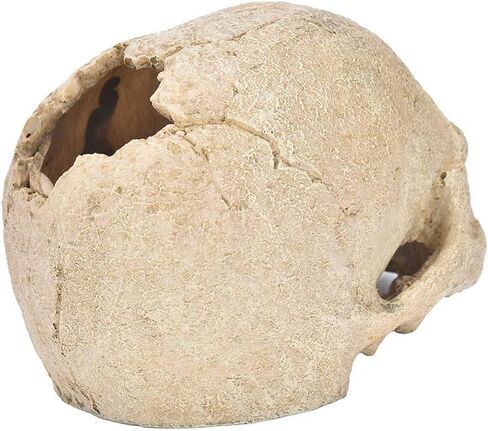 Toukerobx Aquarium Terrarium Skull Decor, Reptile Hide House Shelter Cave for Gecko Spider Lizard Snake, Fish Tank Fish Hide Skull Cave House Stones for Small Fish Shrimp Betta koi Crab… in Kuwait