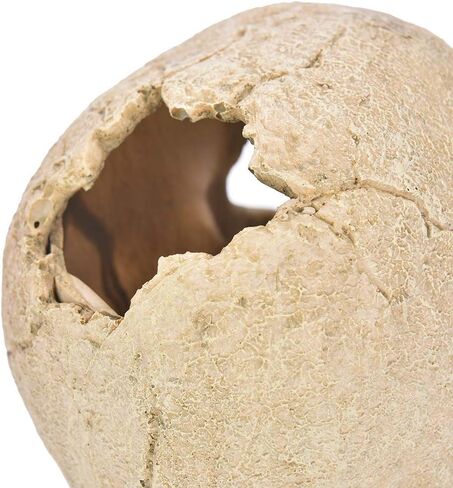 Toukerobx Aquarium Terrarium Skull Decor, Reptile Hide House Shelter Cave for Gecko Spider Lizard Snake, Fish Tank Fish Hide Skull Cave House Stones for Small Fish Shrimp Betta koi Crab… in Kuwait