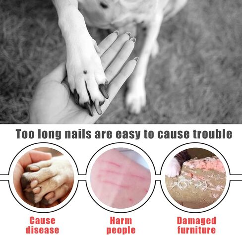 لوح خدش مربع للكلاب، وسادة خدش مزدوجة الجوانب للاظافر، لوح خدش للكلاب بدون اجهاد للكلاب الكبيرة والصغيرة in Kuwait