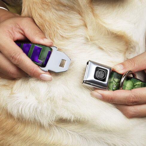 Buckle-Down Dog Collar Seatbelt Buckle Hulk Face Close Up Action Pose Greens Purples 11 to 17 Inches 1.0 Inch Wide, Multicolor (DC-WHU008-M) in Saudi Arabia