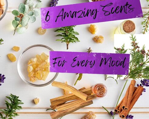 مجموعة متنوعة من أعواد بخور بالو سانتو المميزة، 12 مجموعة بخور ملفوفة يدويًا، 6 روائح: المريمية البيضاء والبتشولي، خشب الصندل، الكوبال، الأرز، الأوكالبتوس، المر مع حقيبة هدايا (مجموعة متنوعة من بالو سانتو 12 × 4) in Kuwait