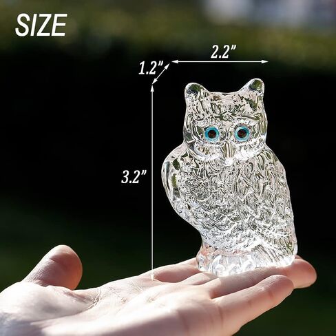 هدايا بومة من IFOLAINA للنساء تمثال بومة كريستالي صغير من الزجاج فنغ شوي تمثال صغير لمحبي الطيور هدية لتزيين المنزل ورف الكتب - أزرق in Kuwait