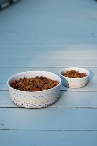 Waggo Ceramic Sketched Wave Dog Food and Water Bowl (Small, Multi) in Kuwait