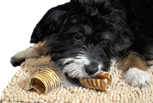 إمدادات الحيوانات الأليفة في وسط المدينة - علاجات الكلاب من لحم البقر والقصبة الهوائية - بديل عصي الفتوة - علاجات أسنان الكلاب ومضغ الكلاب الخالي من الجلود الخام - الجلوكوزامين والكوندرويتين والبروتين والفيتامينات والمعادن - 3 بوصات - 25 قيراط in Kuwait