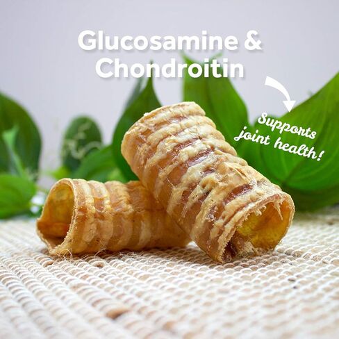 إمدادات الحيوانات الأليفة في وسط المدينة - علاجات الكلاب من لحم البقر والقصبة الهوائية - بديل عصي الفتوة - علاجات أسنان الكلاب ومضغ الكلاب الخالي من الجلود الخام - الجلوكوزامين والكوندرويتين والبروتين والفيتامينات والمعادن - 3 بوصات - 25 قيراط in Kuwait