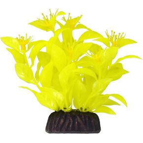 Underwater Treasures Ludwigia - Yellow - 3" in Kuwait