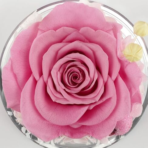 هدايا سونيا أمي لعيد الأم زهرة الورد في تماثيل الملاك الزجاجية هدايا للنساء الجدة، الملاك الحارس مع هدايا الورد الحقيقية المحفوظة إلى الأبد لعيد الأم في عيد الحب (أحمر) in Kuwait