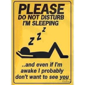 Cuorung Man Cave Decor Please Do Not Disturb I'm Sleeping Tin Sign Vintage Funny Creature Iron Painting Metal Personality Novelty 12x8 Inch