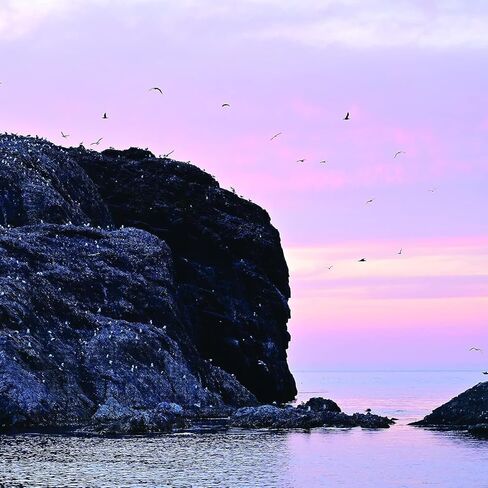 عدسة نيكون NIKKOR Z مقاس 100-400 مم f/4.5-5.6 VR S مع ملحقات متقدمة وحزمة سفر | 20106 | عدسة نيكون 100-400 ملم in Kuwait