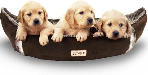 سرير كلب متوسط ​​الحجم من JOYELF مع غطاء قابل للغسل وقابل للإزالة، سرير احتضان لطيف لسفينة القراصنة لتدفئة القطط، سرير حيوانات أليفة مهدئ من الموز الفخم للكلاب والقطط مع ألعاب تصدر أصواتًا كهدية in Kuwait