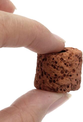 Crapuy 30 PCS Ceramic Aquatic Water Plants Fixed Ring Aquarium Plant Holder Cup Root Tabs Pot Ring Tool Cup Aquarium Accessories Decorative Fish Tank Pottery Grass Landscape 17×20mm/0.67"×0.79"(H×Dia) in Saudi Arabia