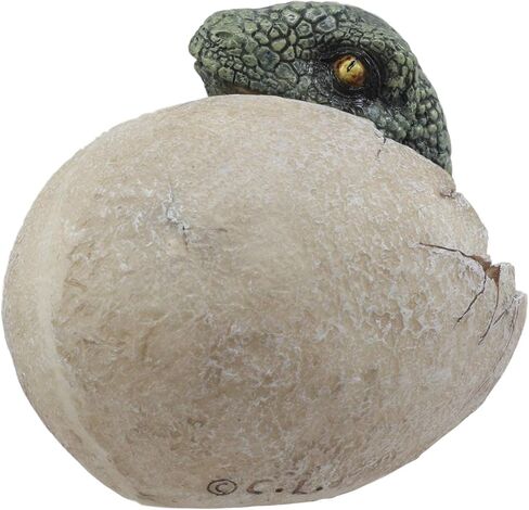 Ebros Jurassic Era Predator Hatching Dinosaur Egg Figurine 4" Tall Velociraptor in Egg Hatchling Statue Decor Sculpture As Fossil Themed Art in 3D Prehistoric Animal Collectible in Saudi Arabia